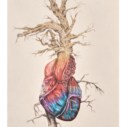 Growth - Heart