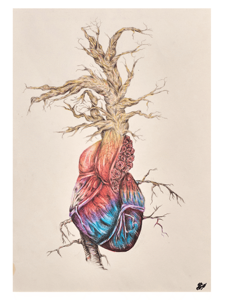 Growth - Heart