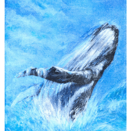 Whale