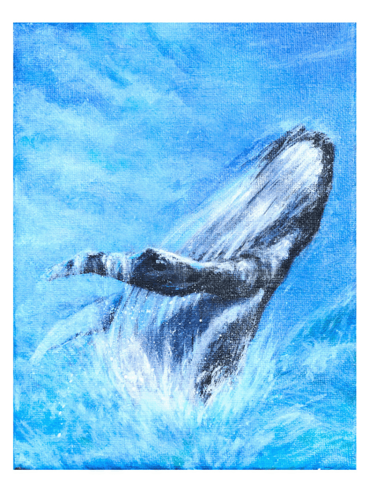 Whale