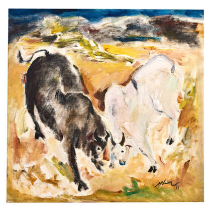 Bull Fight